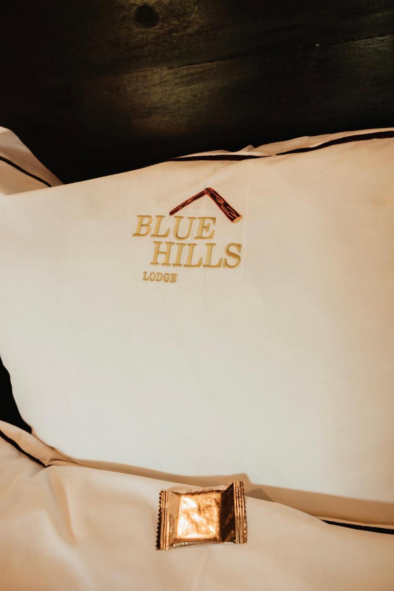 Blue Hills Lodge Midrand Kültér fotó
